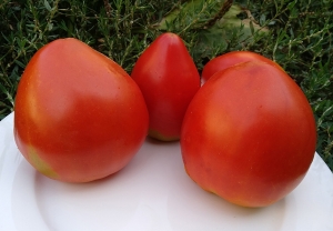 Семена томата сорта Alice (Алиса) - Гиганты сердцевидные