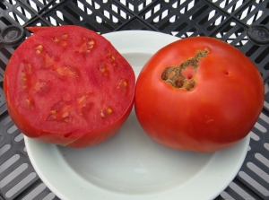 Семена томата сорта Алтайский мёд - Среднерослые