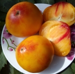 . Ананас Малибу (Ananas Malibu, Malibu Pineapple)