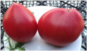 Семена томата сорта Анна Русская (Anna Russian) - Гиганты сердцевидные