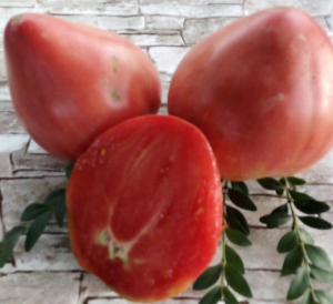 Семена сорта томата Бабушкин мёд - Гиганты сердцевидные 