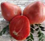 . Бабушкин мёд