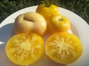 Семена сорта томата White Beauty (Белая красота, Белая красавица) - Белые