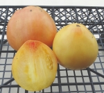 . Reinhard's White Heart (Белое Сердце Рейнхарда)