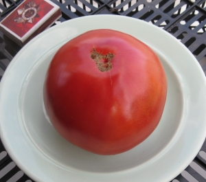 Семена томата сорта Болгарское чудо - Супер - гиганты