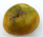 . Max's Large Green (Большой зелёный Макса)