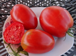 Семена сорта томата Бочковой засол - Высокорослые сливовидно-овальные