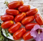 . Веселый гном