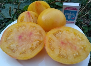 Семена сорта томата Вирджинии сладости (Virginia Sweets) - Гиганты двуцветные