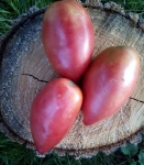 . Воздушный лист (Airy Leaf)