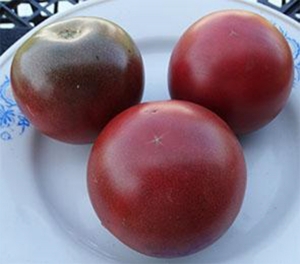 Семена томата сорта Korney's Cross (Гибрид Корнея) - Шоколадные томаты