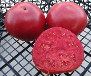 Семена сорта томата Гигант Бельгии (Giant Belgium) - Супер – гиганты