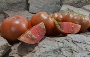 Семена сорта томата Dwarf Grandma’s Chocolate (Гном Бабушкин шоколад) - Гномы