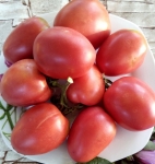 . Dwarf Melanie’s Ballet (Гном Балет Мелани)