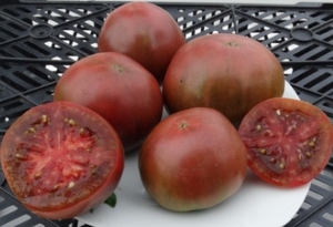 Семена сорта томата Пёрф прайд (Perth Pride) - Шоколадные, Гномы