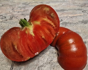 Семена сорта томата Dwarf Saxon donuts (Гном Саксонские пончики) - Гномы