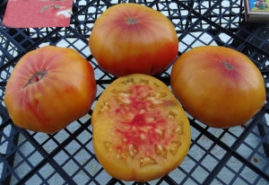 Семена сорта томата Georgia Streak (Джорджия полосатая) - Гиганты двуцветные