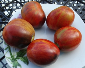 Семена сорта томата Wild Tiger (Дикий Тигр) - Полосатые синие