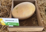 . Дыня Maziane F1 (Мазин F1) (Clause)