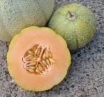 . Дыня Minnesota Midget (Карлик из Миннесоты)