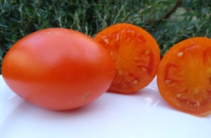 Семена томата сорта Yellow Cookie (Желтая булочка) - Гиганты желтые и оранжевые