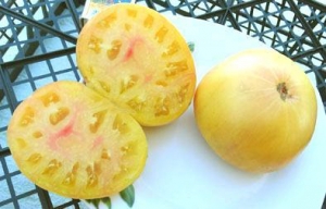 Семена томата сорта Yellow Barn (Желтый амбар) - Гиганты двуцветные