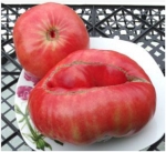 . Зимаревский великан 