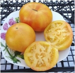 . Livingston's Golden Queen (Золотая королева Ливингстона)