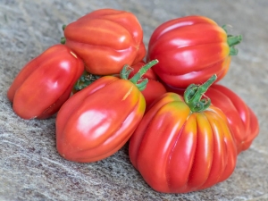 Семена томата сорта Gezahnte (Зубчатый) - Фигурно – ребристые и фаршировочные («стаффер» сорта)