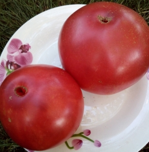 Семена томата сорта Иранское чудо - Гиганты сердцевидные