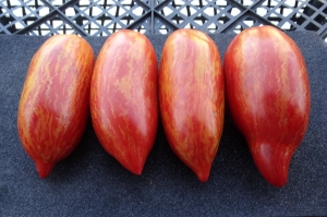 Семена томата сорта Искры пламени - Длинноплодные