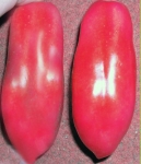 . Итальянский квадратный