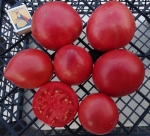 . Каменное сердце 