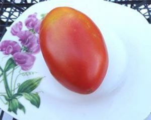 Семена сорта томата Ludmilla’s Red Plum (Красная слива Людмилы) - Высокорослые сливовидно-овальные