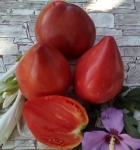 . Landshuter Riese (Ландхутский великан)