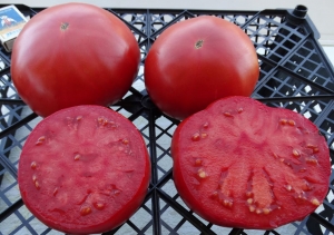 Семена томата сорта Magnum Beefsteak (Магнум бифстейк) - Гиганты красные