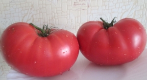 Семена томата сорта Малиновый болгарский гигант - Гиганты розовые