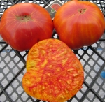 . Мамонт немецкий золотой (Mammoth German Gold) 