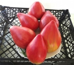 . Margareto (Маргарето)