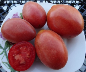 Семена томата Мохнатый шмель - бархатные томато-персики