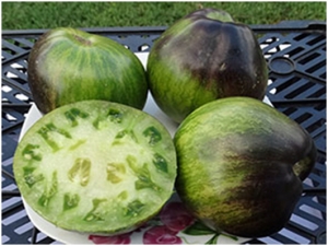 Семена сорта томата Rebel Starfighter VT-16 (Мятежник Старфайтер VT-16) - Полосатые