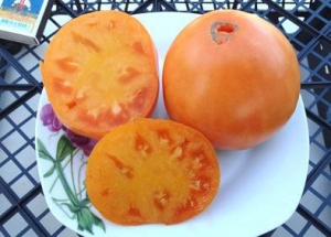 Семена томата сорта Низами - Гиганты желтые и оранжевые