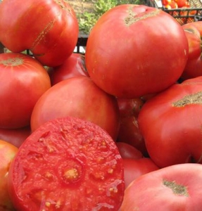 Семена сорта томата  Новое поколение Бурчема (Burcham’s New Generation) - Супер – гиганты