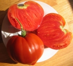 . Marek’s Pointy Heart (Остроконечное сердце Марека) 