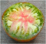 . Bunte Pflaume (Пестрая слива)