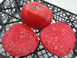 Семена томата сорта Планета - Гиганты красные