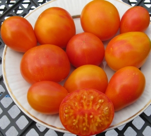 Семена сорта томата Piedmont Pear (Предгорная Груша) - Высокорослые коктейльные