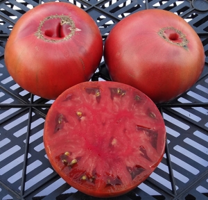 Семена сорта томата Polaris (Поларис) - Шоколадные