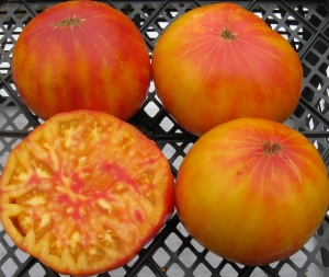 Семена сорта томата Полосатый господин (Mr.Stripe) - Гиганты двуцветные