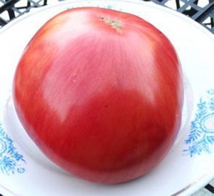 Семена томата сорта Stripes of Syrnath (Полосы Сырната) - Полосатые